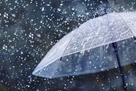 夢落雨|【夢占い】雨の夢の意味23選！金運や幸運が訪れる。